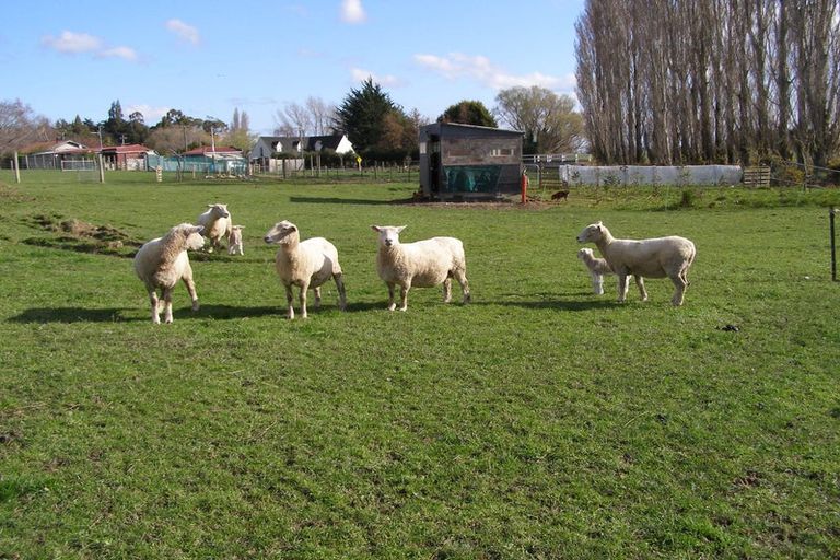 Photo of property in 77 Lochiel Branxholme Road, Lochiel, Winton, 9781