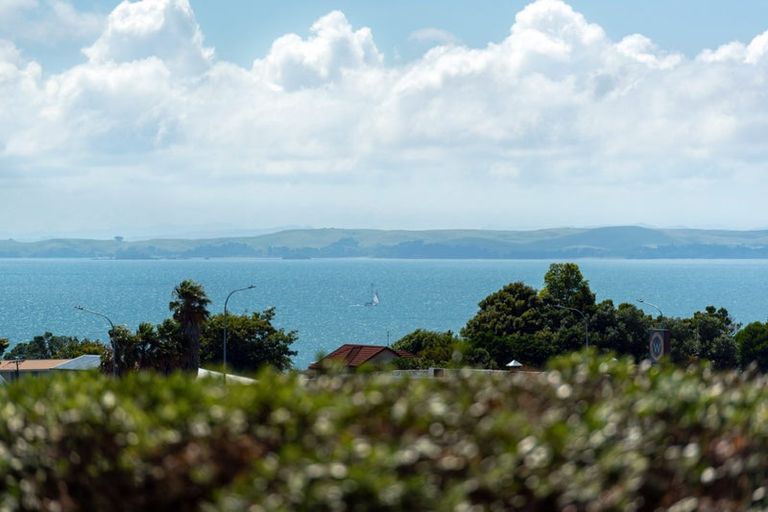 Photo of property in 13 Windsor Place, Windsor Park, Auckland, 0630