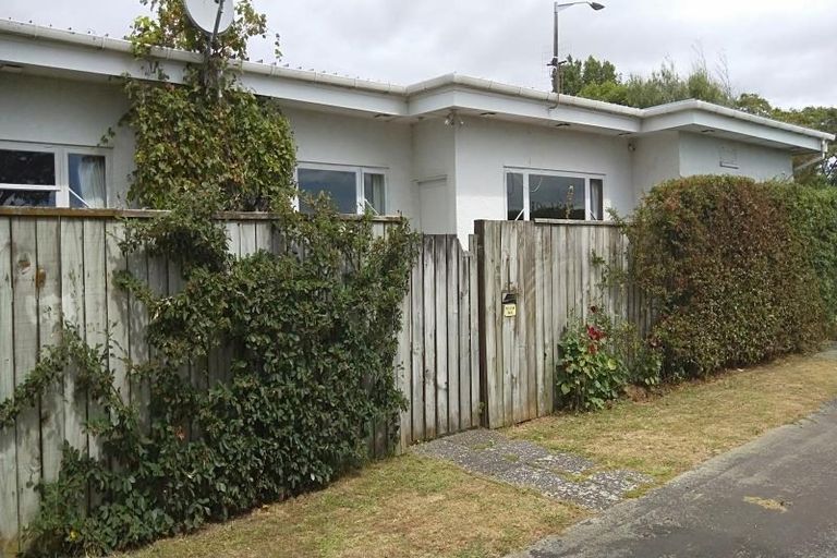 Photo of property in 87 Guy Avenue, Takaro, Palmerston North, 4410