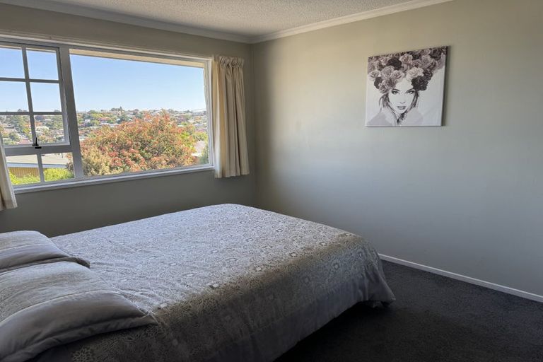 Photo of property in 161a Eglinton Road, Mornington, Dunedin, 9011