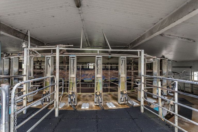 Photo of property in 165 Motu Road, Toatoa, Opotiki, 3197