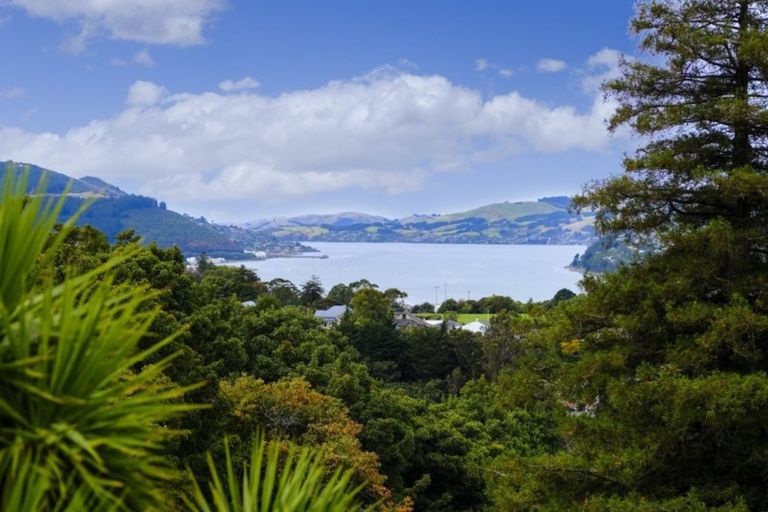 Photo of property in 91 Maryhill Terrace, Maryhill, Dunedin, 9011