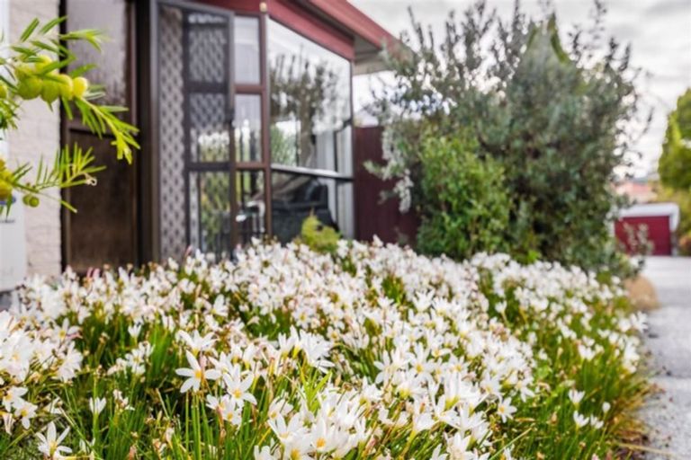 Photo of property in 1/41a Titirangi Road, New Lynn, Auckland, 0600