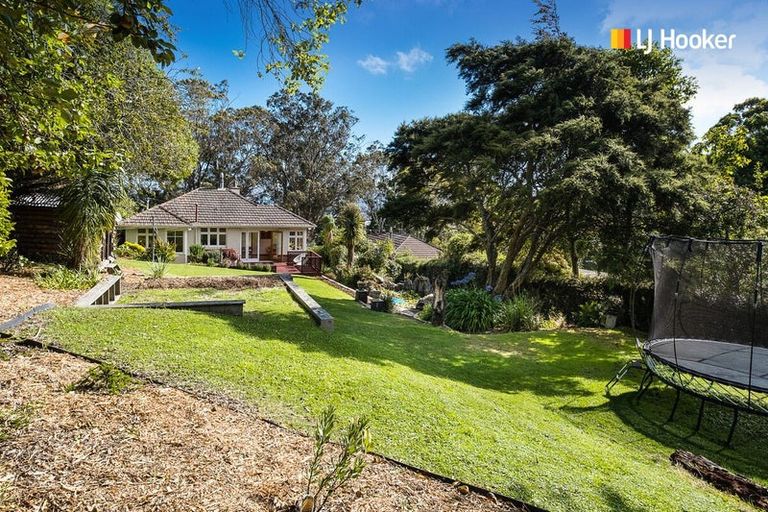 Photo of property in 49 Every Street, Andersons Bay, Dunedin, 9013