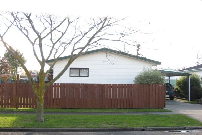 Photo of property in 413a Hemi Street, Raureka, Hastings, 4120