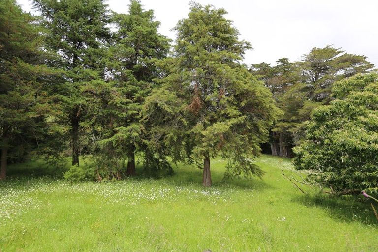 Photo of property in 1 Old Mill Road, Donnellys Crossing, Dargaville, 0379