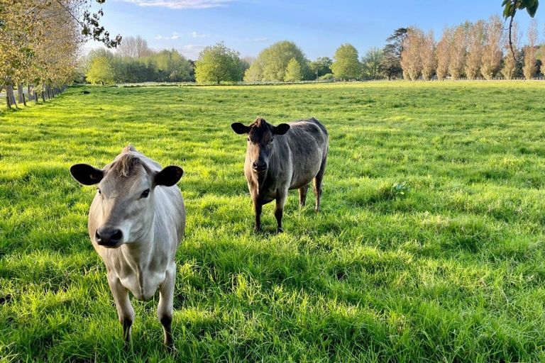 Photo of property in 70 Spindler Road, Wellsford, 0972