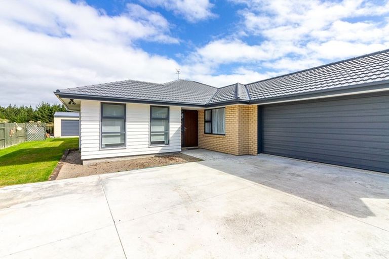 Photo of property in 21 Sandown Avenue, Himatangi Beach, Foxton, 4891