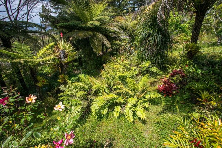 Photo of property in 445 Preeces Point Road, Preece Point, Coromandel, 3506