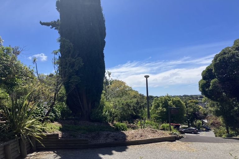 Photo of property in 3 Paulus Terrace, Cashmere, Christchurch, 8022