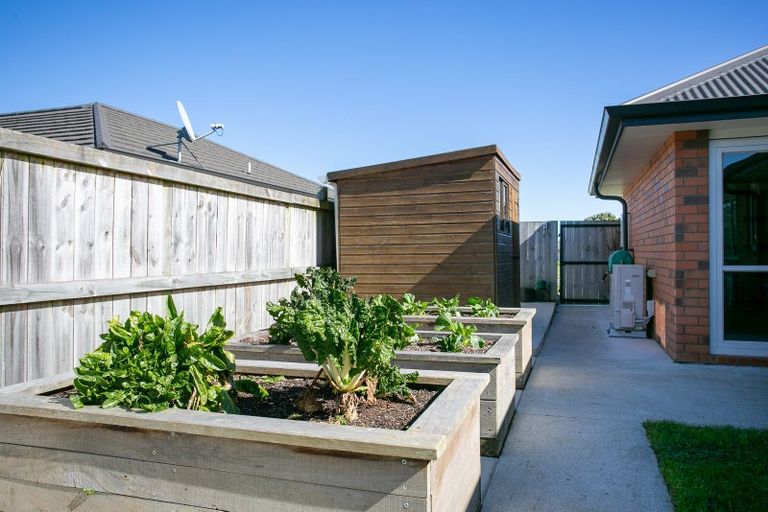 Photo of property in 16 Tiaki Way, Cambridge, 3434