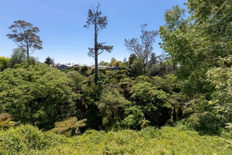 Photo of property in 89a Bruce Avenue, Glenview, Hamilton, 3206