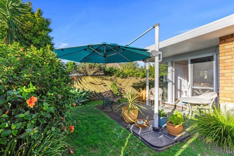 Photo of property in 19 Reilly Avenue, Mount Maunganui, 3116