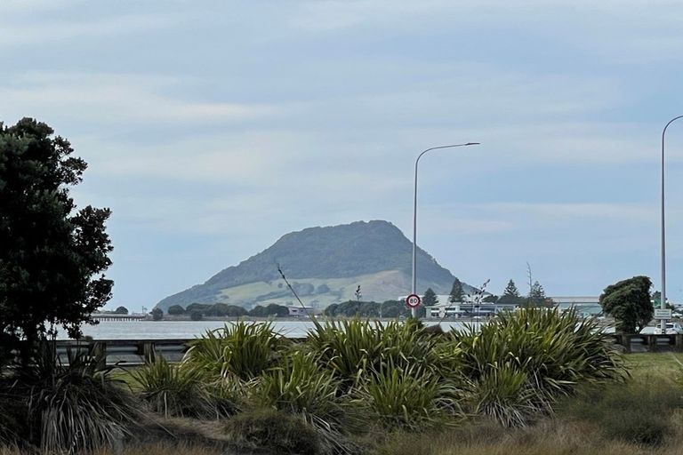 Photo of property in 142b Third Avenue, Tauranga, 3110