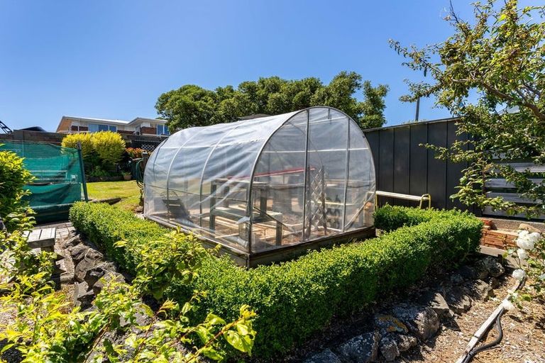 Photo of property in 133 Tahuna Road, Andersons Bay, Dunedin, 9013