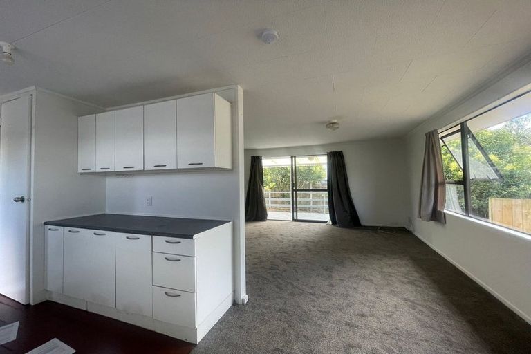 Photo of property in 1/160 Universal Drive, Henderson, Auckland, 0610