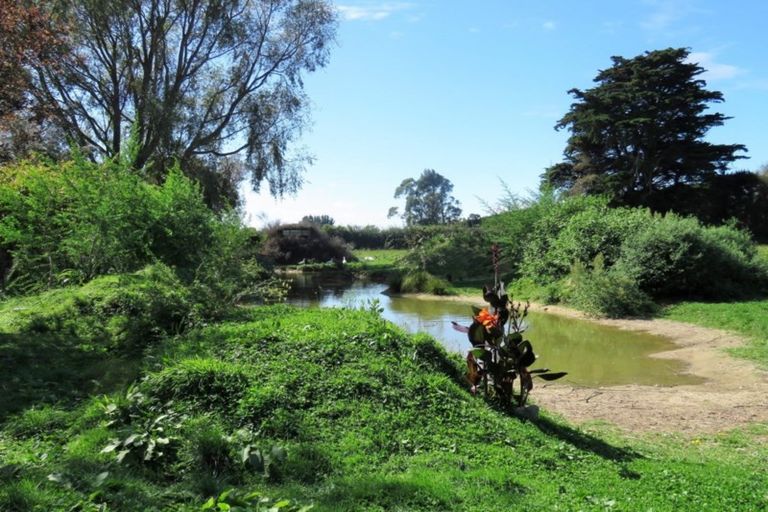Photo of property in 54 Waihou Road, Levin, 5571