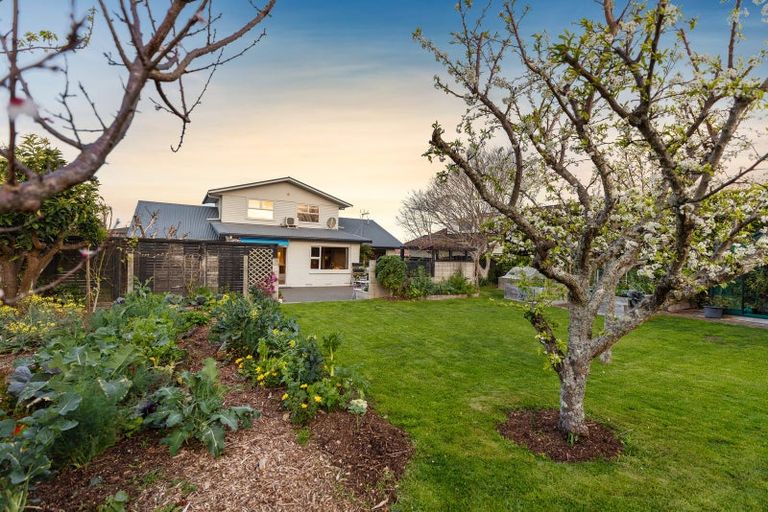 Photo of property in 29 Whitaker Street, Otumoetai, Tauranga, 3110