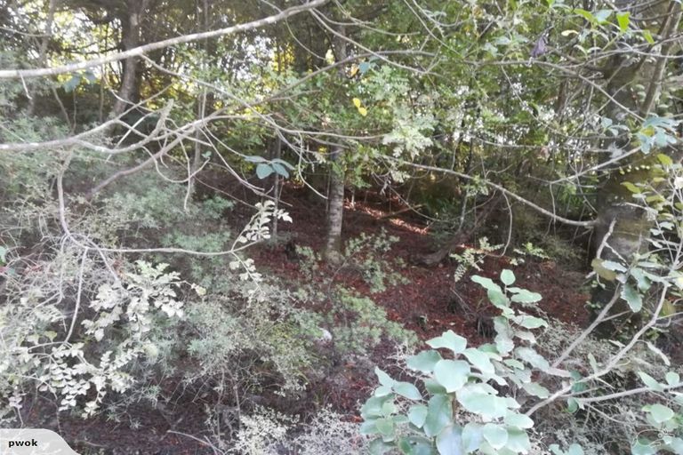 Photo of property in 1455 Port Charles Road, Port Charles, Coromandel, 3584