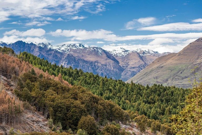 Photo of property in 156 Alpine Retreat Road, Ben Lomond, Queenstown, 9371