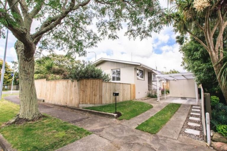 Photo of property in 1 Berkley Place, Awapuni, Palmerston North, 4412