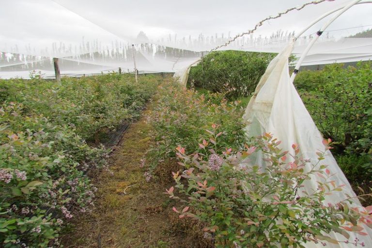 Photo of property in 71c Keri Downs Road, Kerikeri, 0294