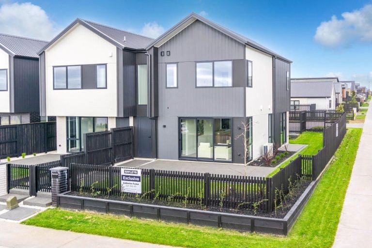 Photo of property in 44 Musselwhite Terrace, Chartwell, 3210