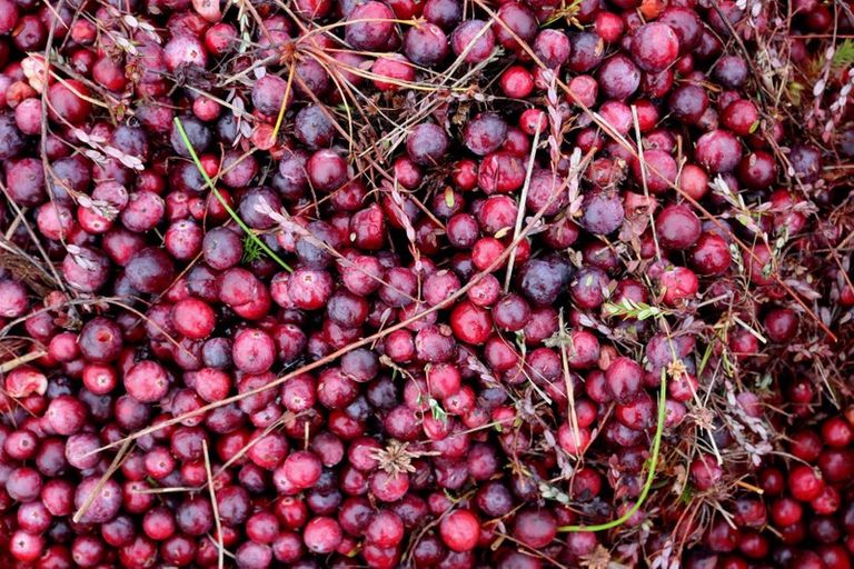 Photo of property in 1218 Old Christchurch Road, Awatuna, Hokitika, 7882