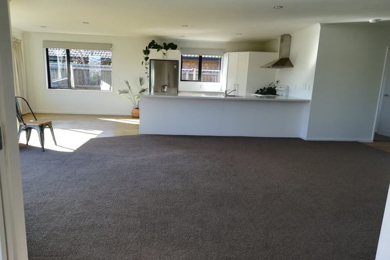 Photo of property in 36 Tremorne Avenue, Blenheim, 7201