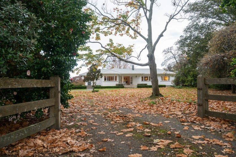 Photo of property in 80 Ormond Road, Twyford, Hastings, 4175