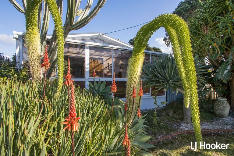 Photo of property in 104 Dillon Street, Waihi Beach, 3611