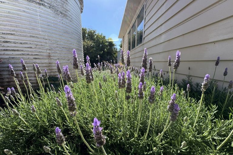 Photo of property in 6 Well Street, Ruawai, 0530