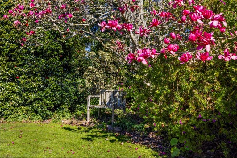 Photo of property in 35 Smith Street, Waverley, 4510