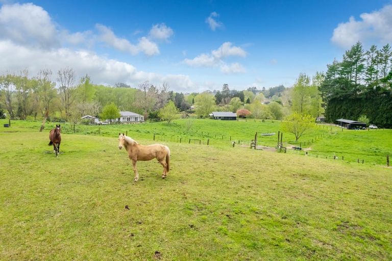 Photo of property in 140h Tebbutt Road, Lower Kaimai, Tauranga, 3171