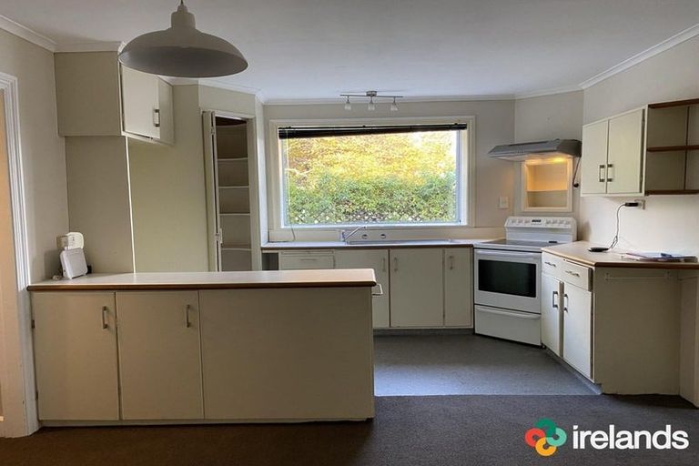 Photo of property in 1a Grove Road, Addington, Christchurch, 8024