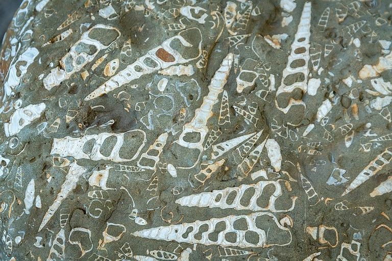 Photo of property in 23 Rangihiroa Street, Waikanae Beach, Waikanae, 5036