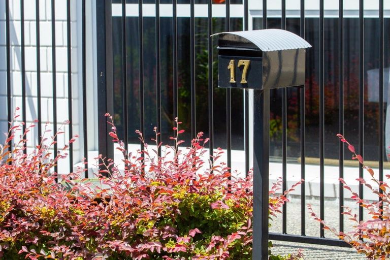 Photo of property in 17 Patricia Place, Katikati, 3129