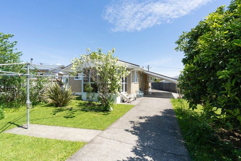 Photo of property in 17 Cornwall Street, Levin, 5510