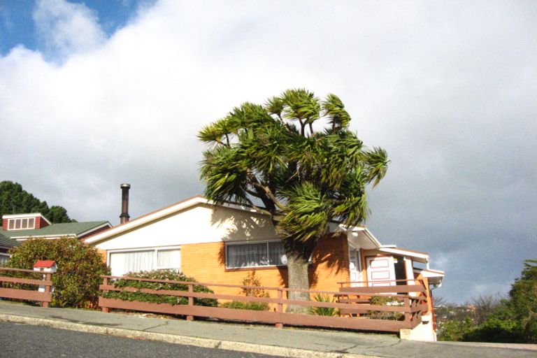 Photo of property in 19 Elliffe Place, Shiel Hill, Dunedin, 9013