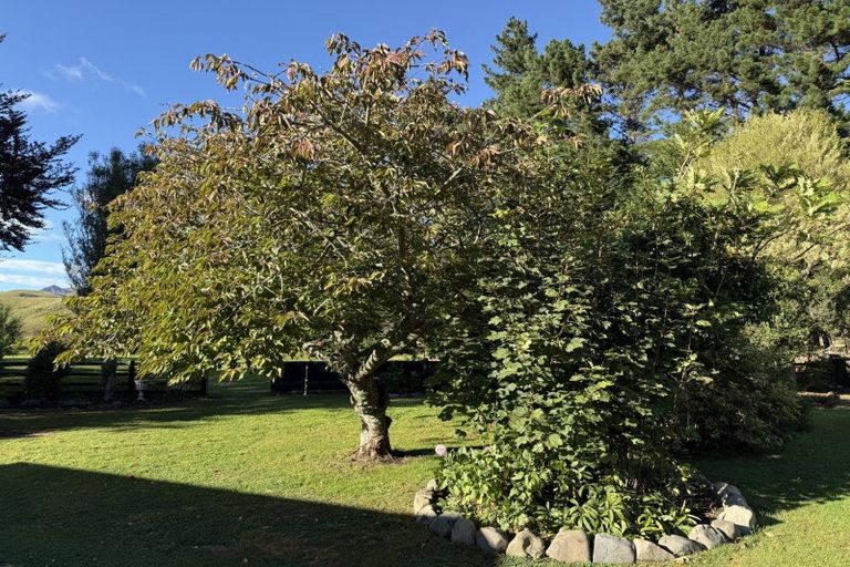 Photo of property in 1034 Waitahora Road, Waitahora, Dannevirke, 4971