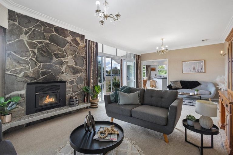 Photo of property in 31 Rata Street, Matamata, 3400