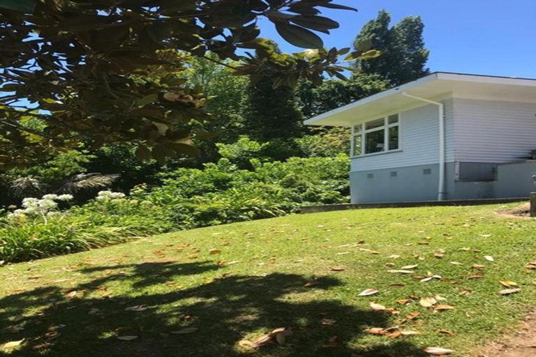 Photo of property in 509 The Terrace, Thames, 3500