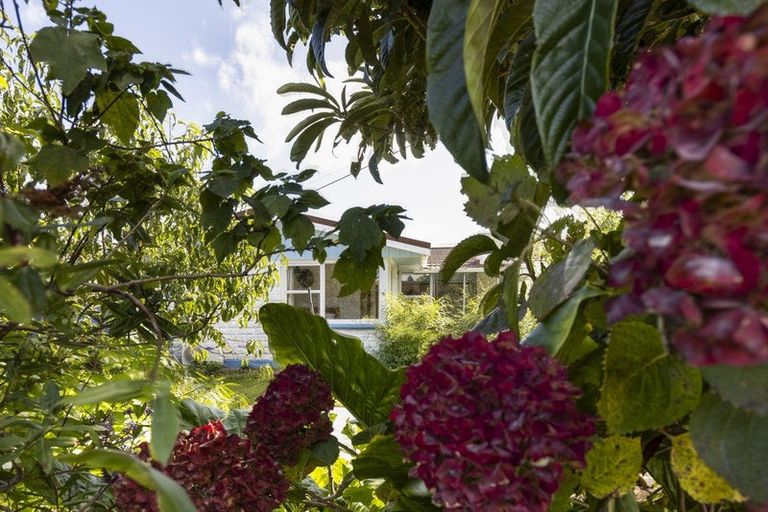 Photo of property in 135 Budge Street, Riversdale, Blenheim, 7201