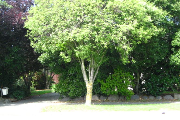 Photo of property in 173 Halswell Road, Hillmorton, Christchurch, 8025