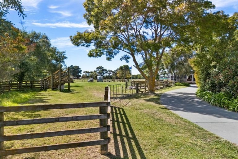 Photo of property in 59 Buchanan Street, Bay View, Napier, 4104