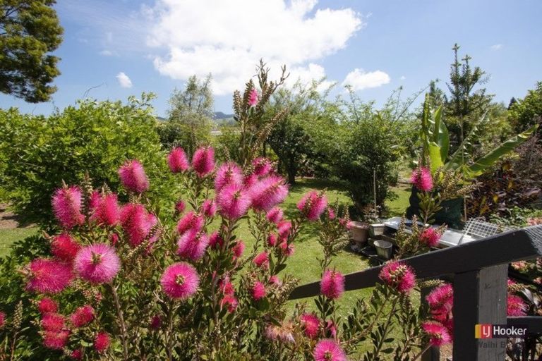 Photo of property in 1 Kitchener Street, Waihi, 3610