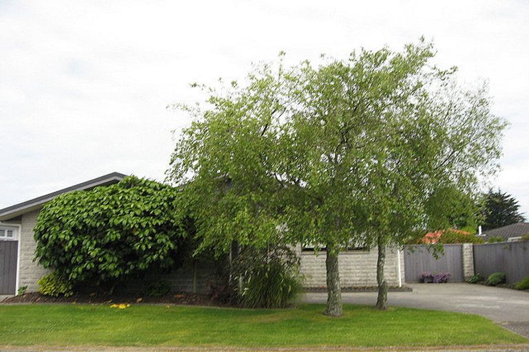 Photo of property in 10 Hunter Street, Westport, 7825