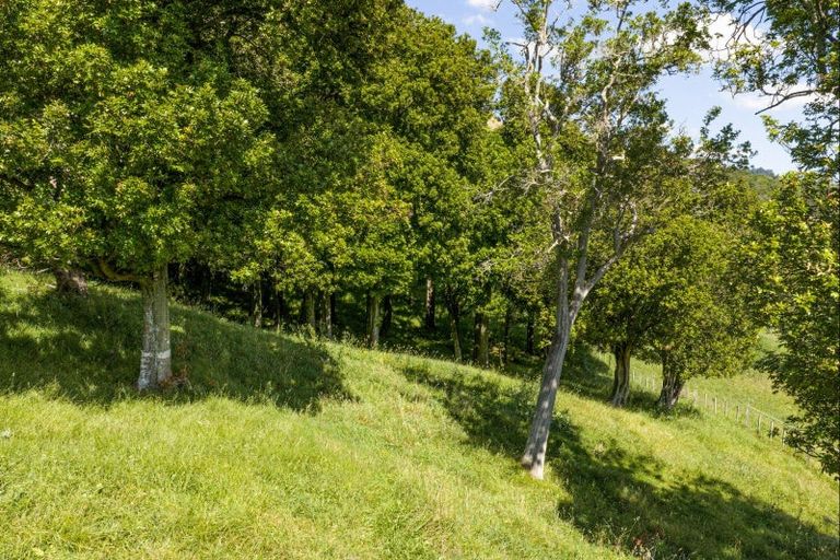 Photo of property in 445 Anaroa Road, Raukawa, Hastings, 4174