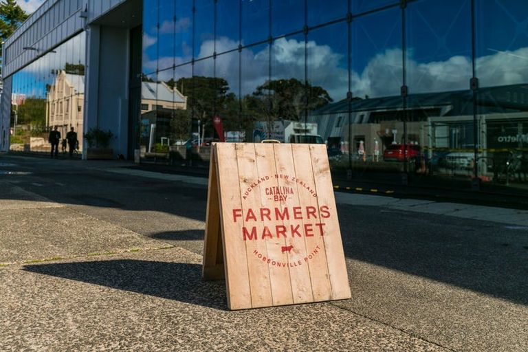 Photo of property in 7 Cicada Road, Hobsonville, Auckland, 0616