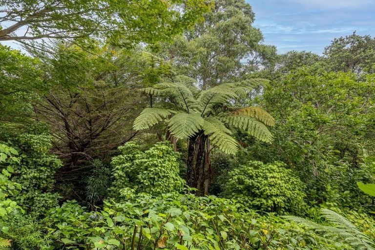 Photo of property in 52 Leinster Avenue, Raumati South, Paraparaumu, 5032